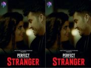 PERFECT STRANGER